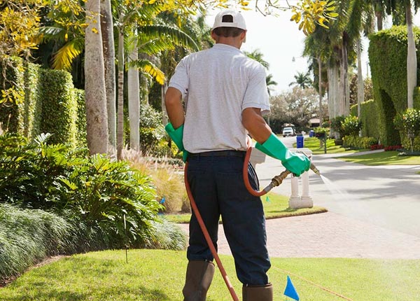 About Big Indian NY Pest Control